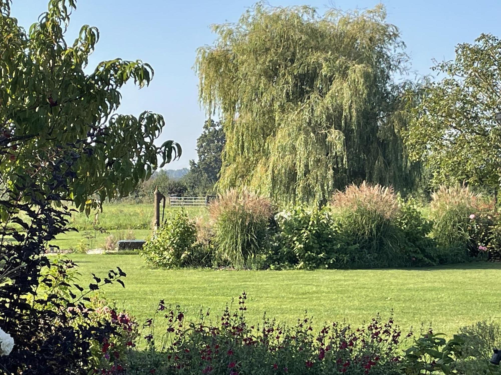 Aurefees Bed and Breakfast Ellon Εξωτερικό φωτογραφία